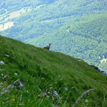 La Moraine *