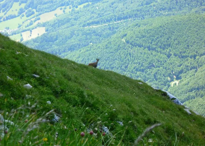 La Moraine *