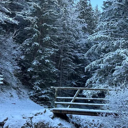 Апартаменты La Moraine Виллар-де-Ланс